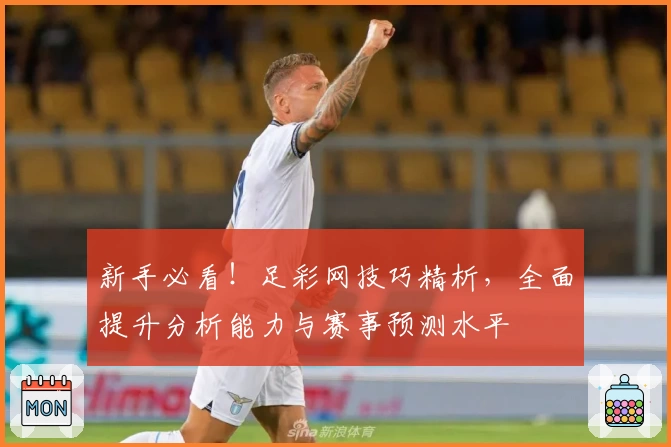新手必看！足彩网技巧精析，全面提升分析能力与赛事预测水平