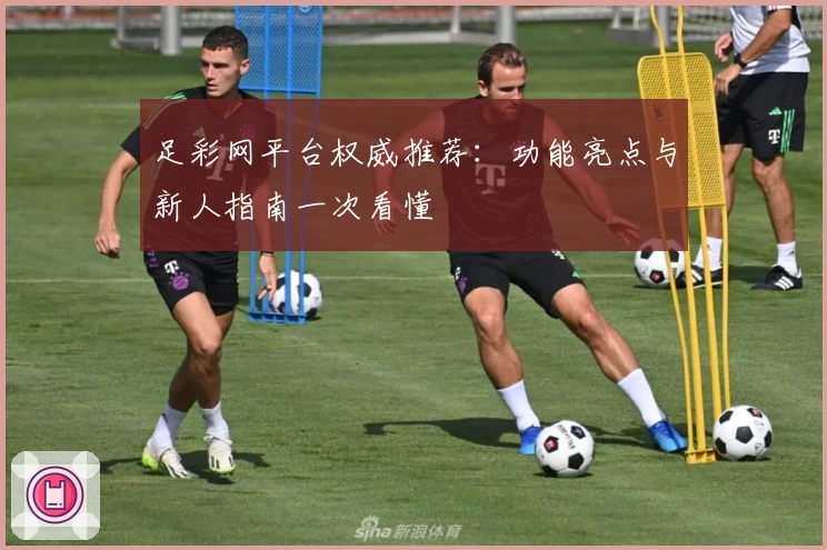 足彩网平台权威推荐:功能亮点与新人指南一次看懂