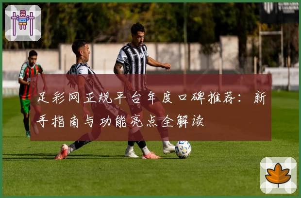足彩网正规平台年度口碑推荐：新手指南与功能亮点全解读