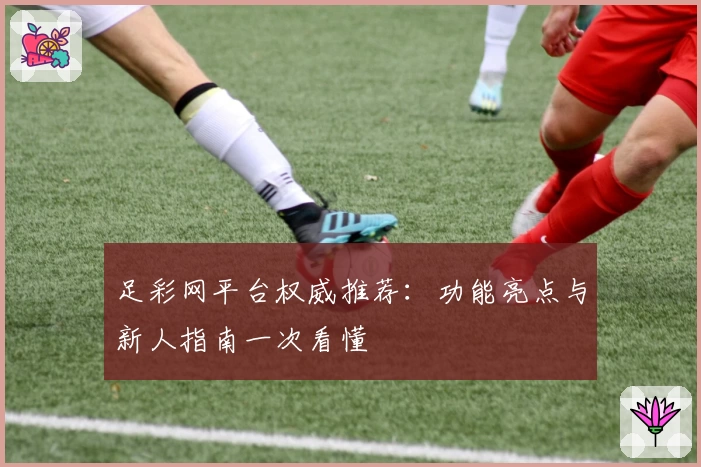 足彩网平台权威推荐：功能亮点与新人指南一次看懂