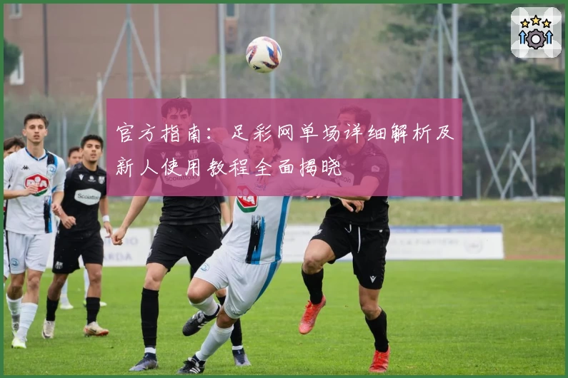 官方指南：足彩网单场详细解析及新人使用教程全面揭晓