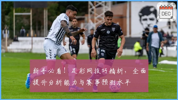 新手必看！足彩网技巧精析，全面提升分析能力与赛事预测水平
