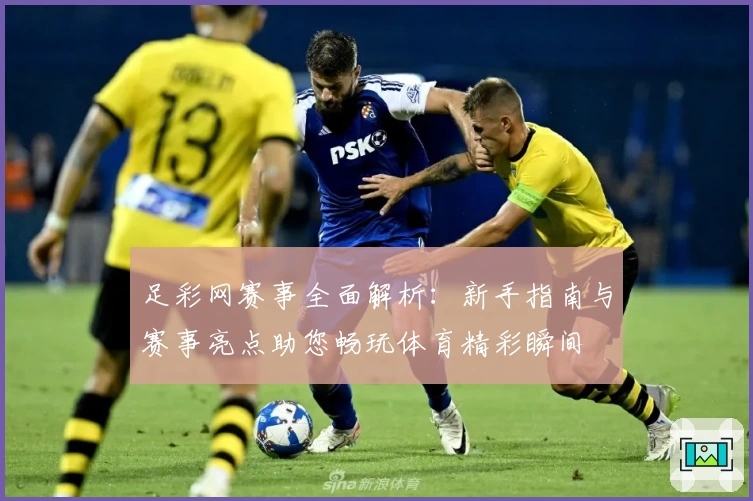 足彩网赛事全面解析：新手指南与赛事亮点助您畅玩体育精彩瞬间